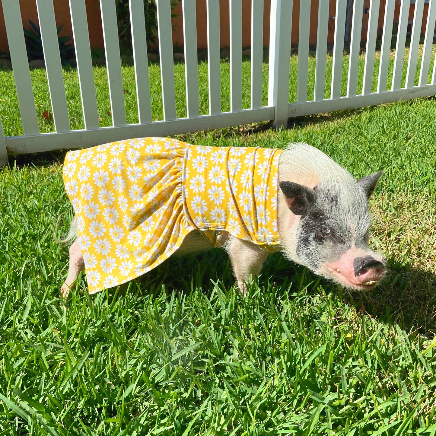 Summer Sun Strap Dress, Yellow Daisy Print, Size 4X, Ready-Made Fast Shipping!