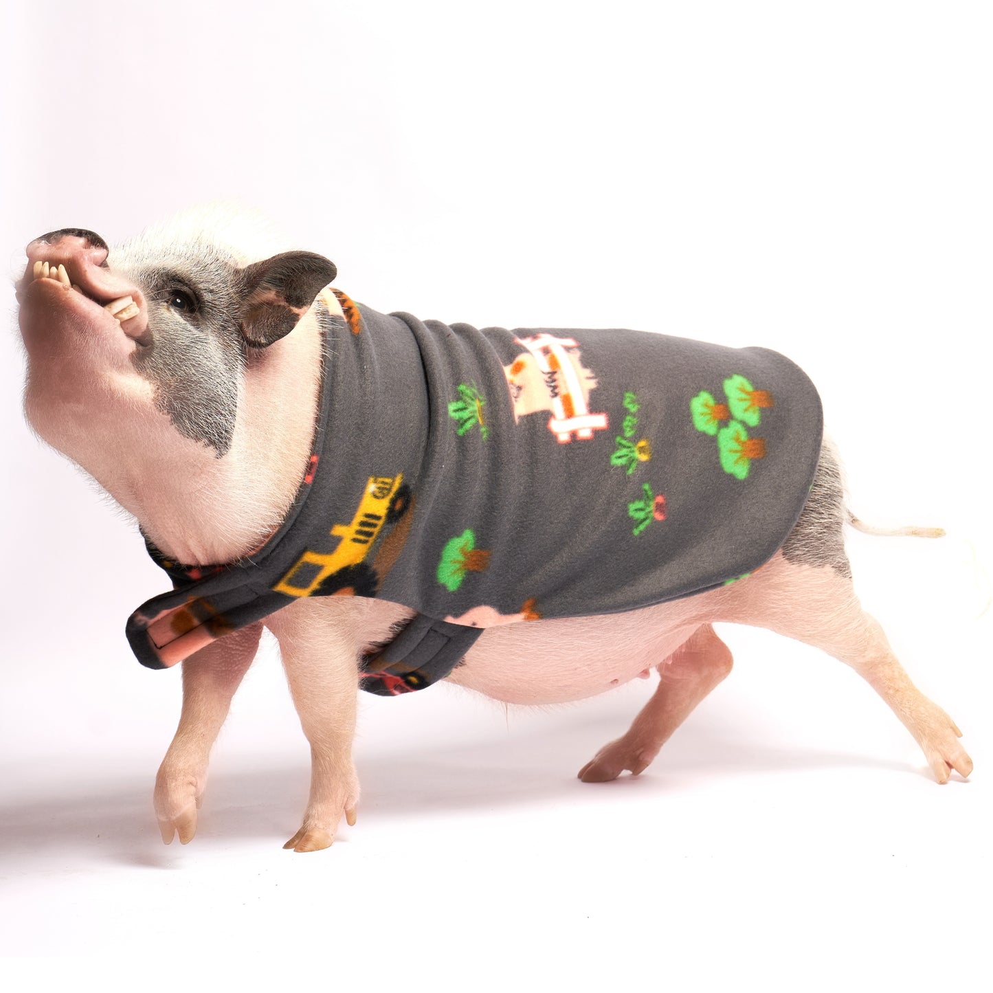 Fleece Strap Pig Sweater Double Layer Coat: Farm Pigs on Tractors Fabric, Mini Pig Clothes for Potbelly Pigs and Hogs of All Sizes