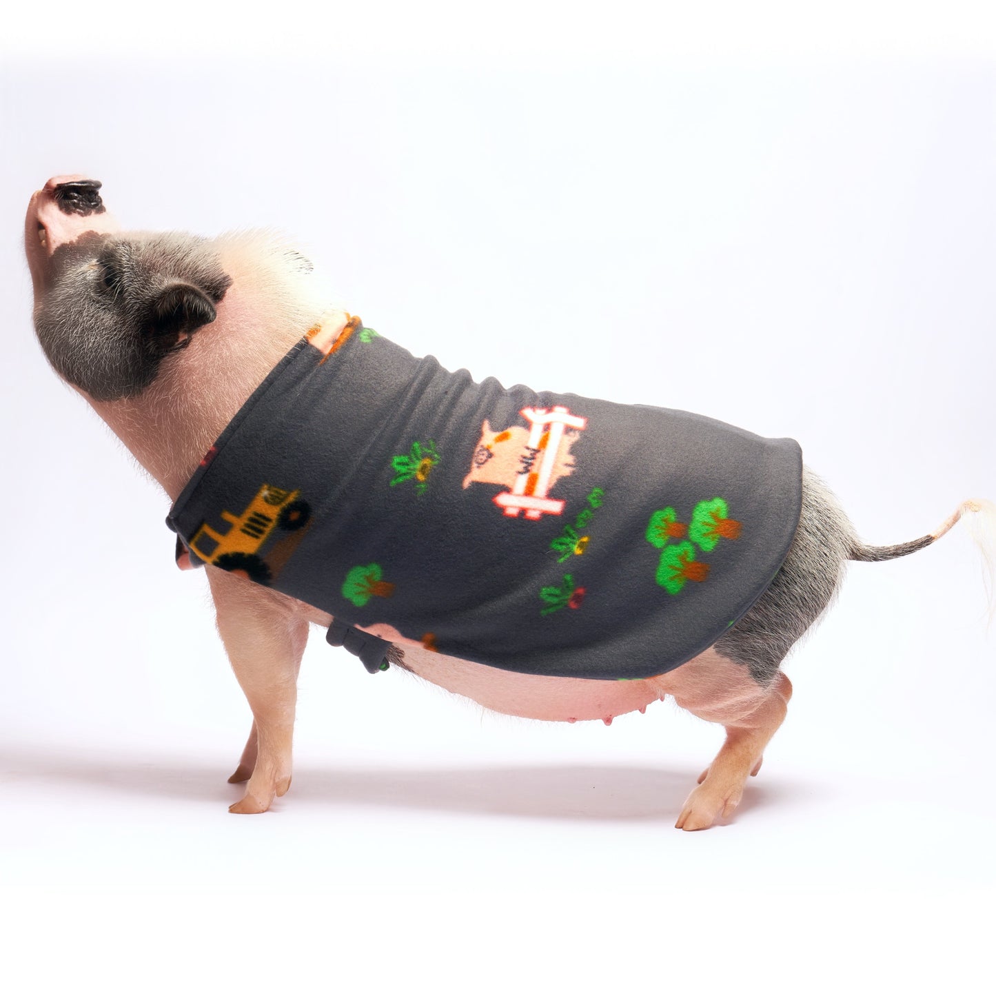 Fleece Strap Pig Sweater Double Layer Coat: Farm Pigs on Tractors Fabric, Mini Pig Clothes for Potbelly Pigs and Hogs of All Sizes