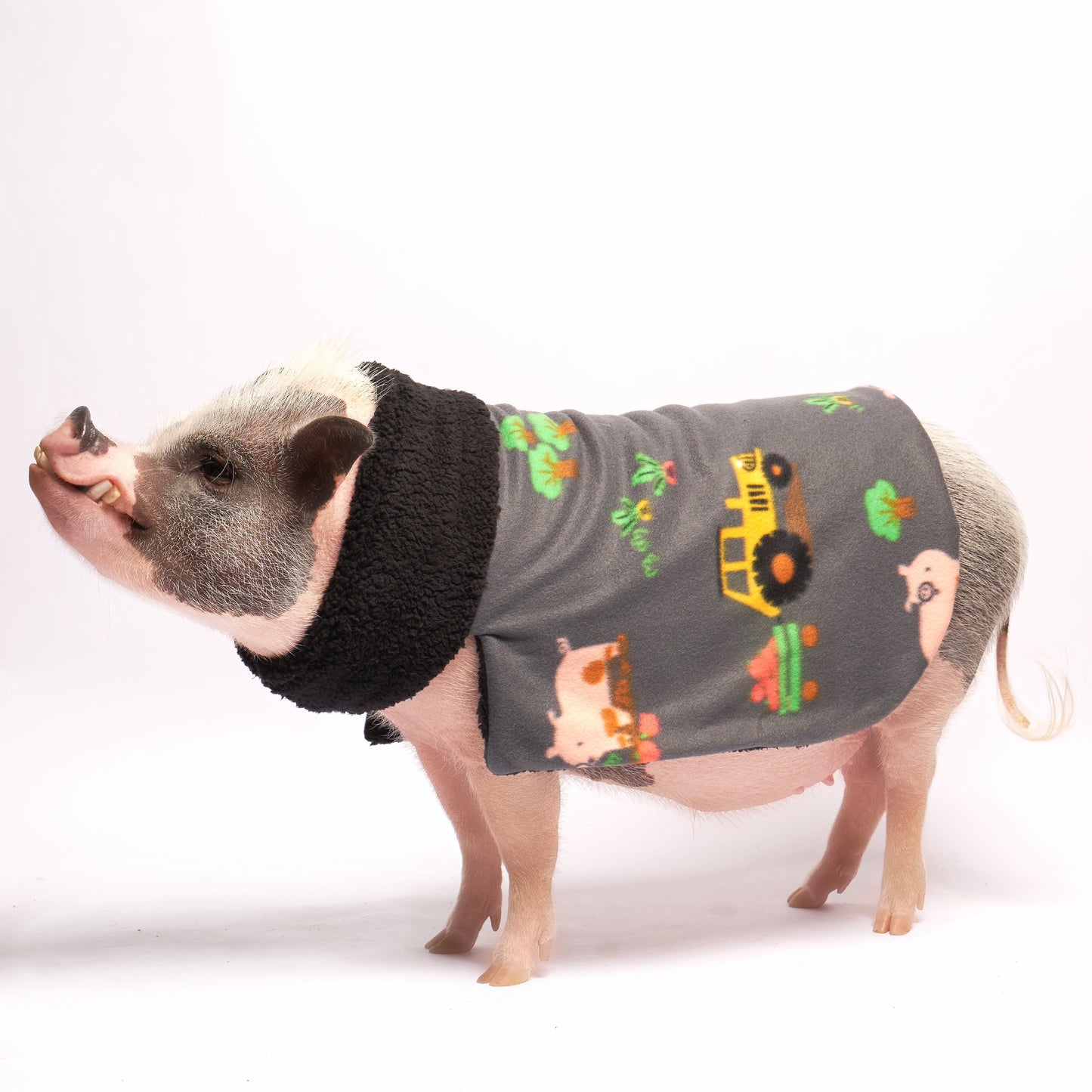 Ultimate Warm Fleece and Sherpa Pig Blanket Sweater: Farm Pigs on Tractors Fabric, Mini Pig Clothes for Potbelly Pigs of All Sizes